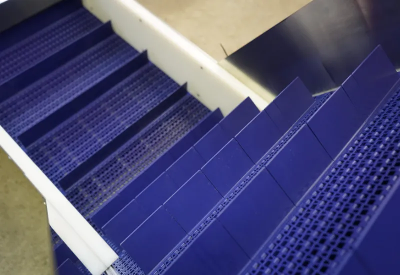 Belt & Modular Belt Conveyors