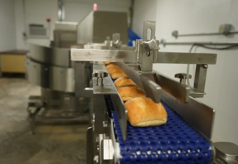 Sanitary Conveyors